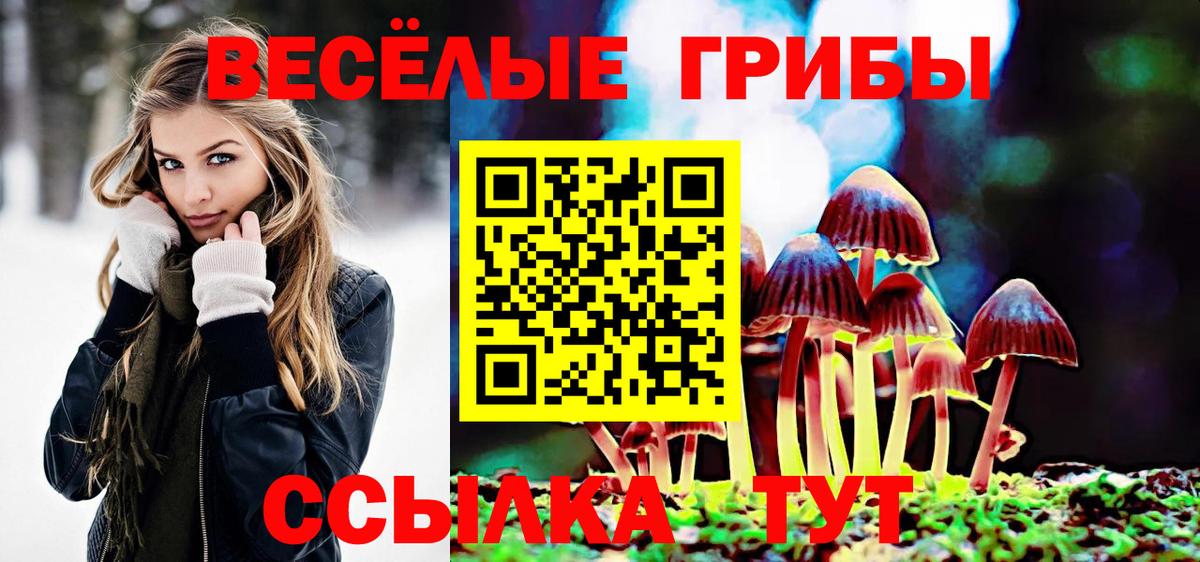 Екатеринбург  Псилоцибиновые грибы Psilocybe  Вход с VPN 
