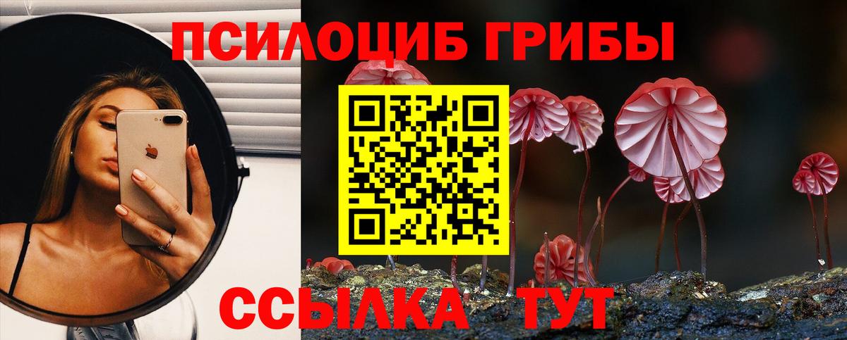 Галлюциногенные грибы мицелий Екатеринбург